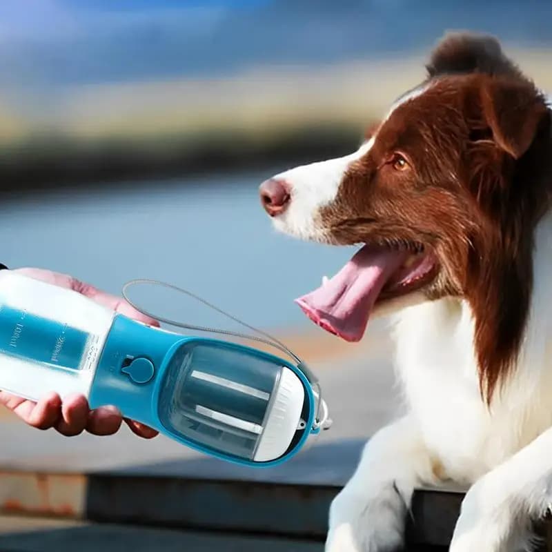 Gobelet Chien 3-en-1 — visuel 6